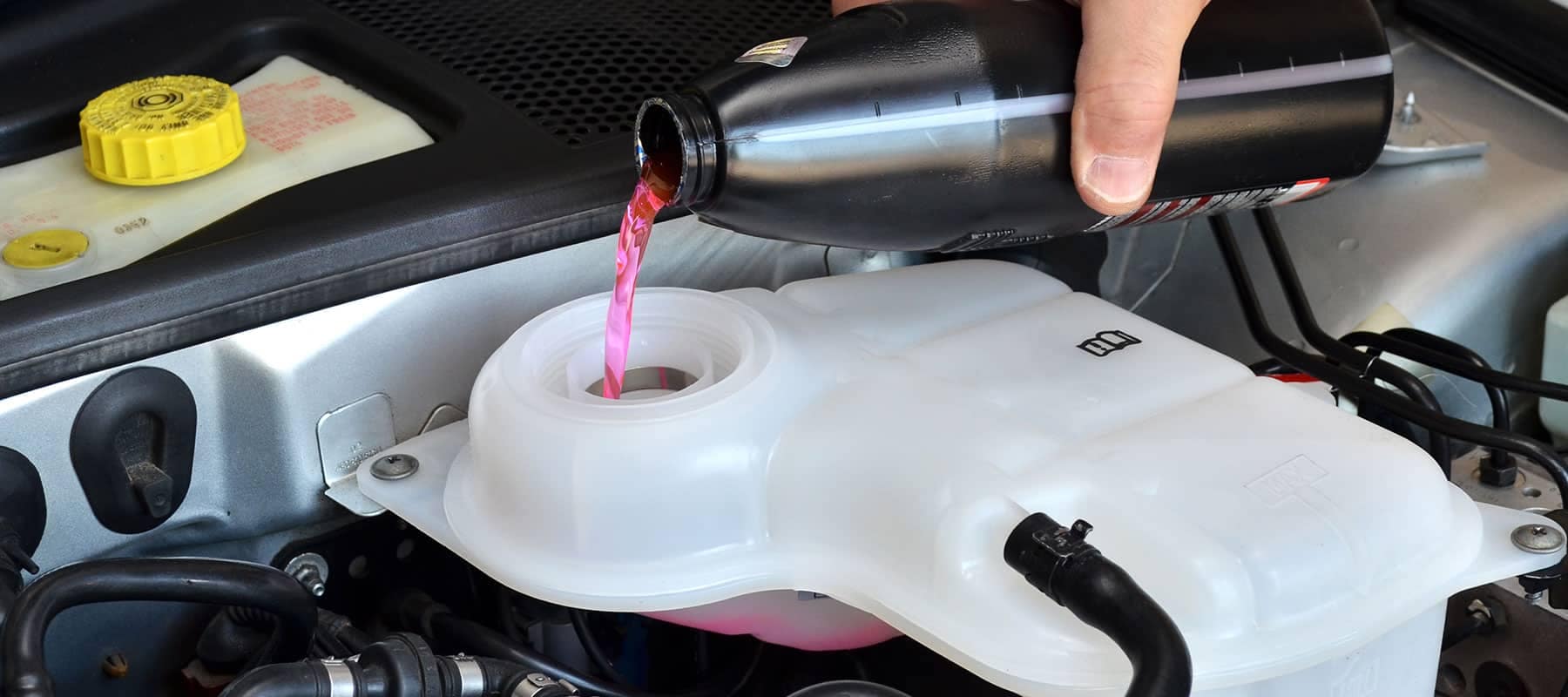 Coolant picture of technician pouring pink coolant into engine reservoir