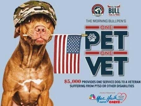 Pet Vet