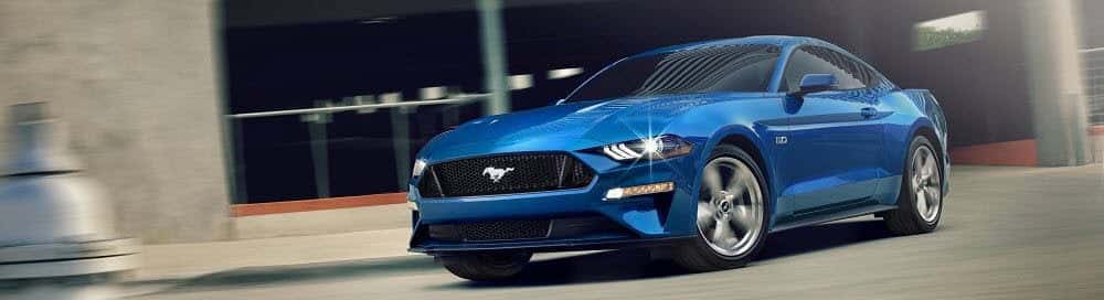 Ford Reviews
