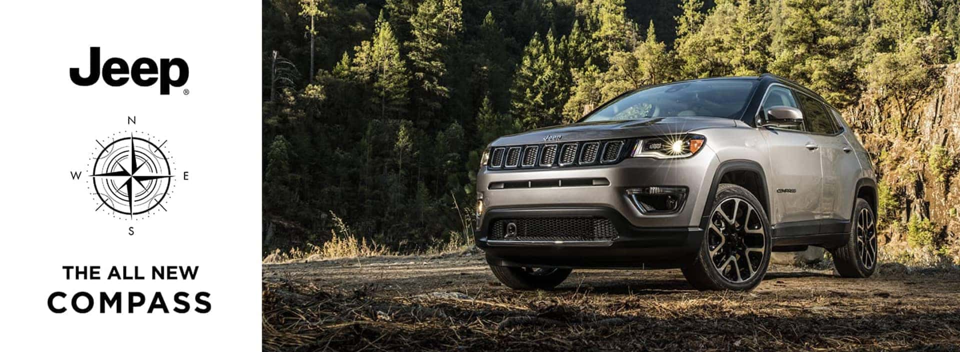 Jeep compass in the forrest