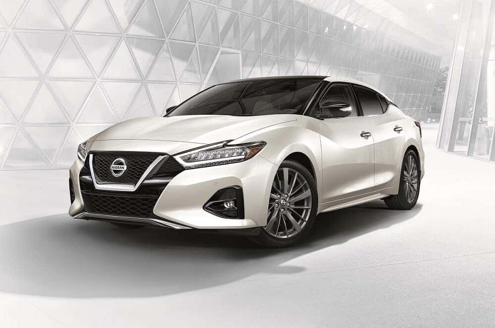 Nissan Car Reviews New Port Richey FL | Maus Nissan of New Port Richey