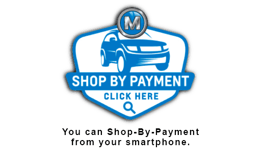 Shop By Payment