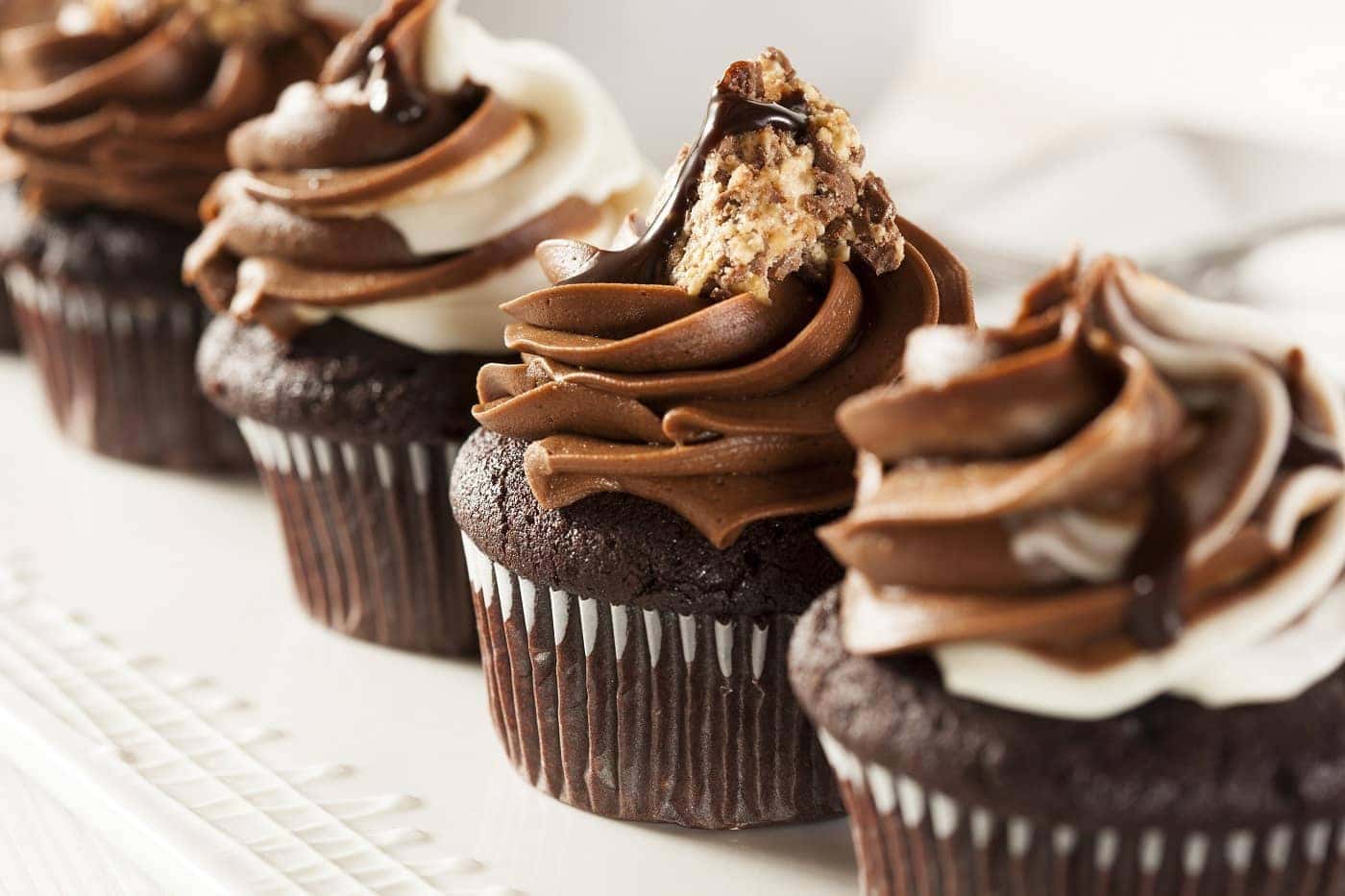 Chocolate Cupcakes