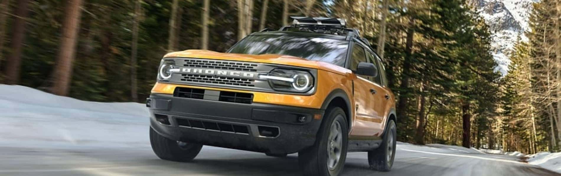 Ford driving through the woods
