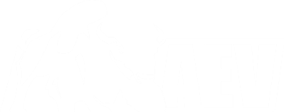 AEV logo