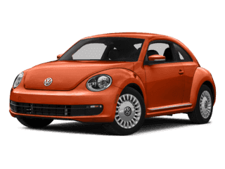 Beetle