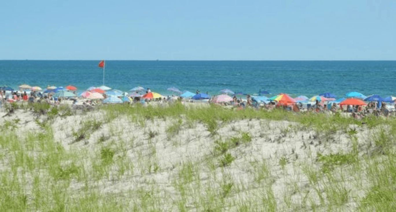 Shark Attack Confirmed In 1 Of 2 Bites Off Fire Island