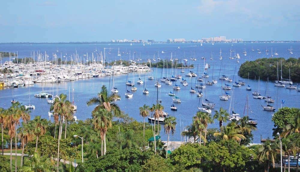 coconut-grove-mlam