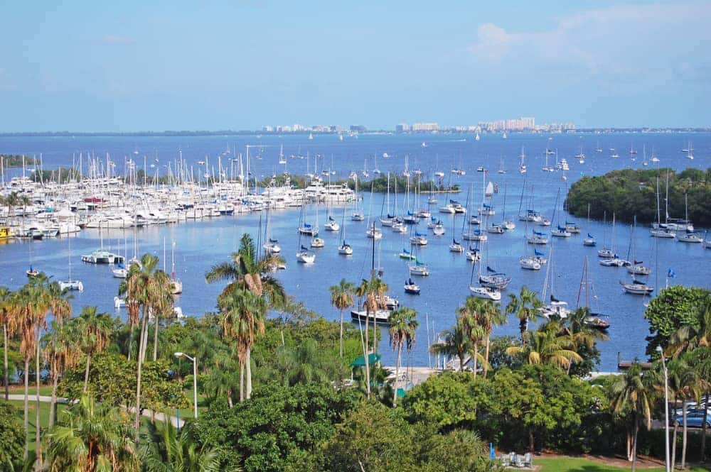 coconut-grove-mlam