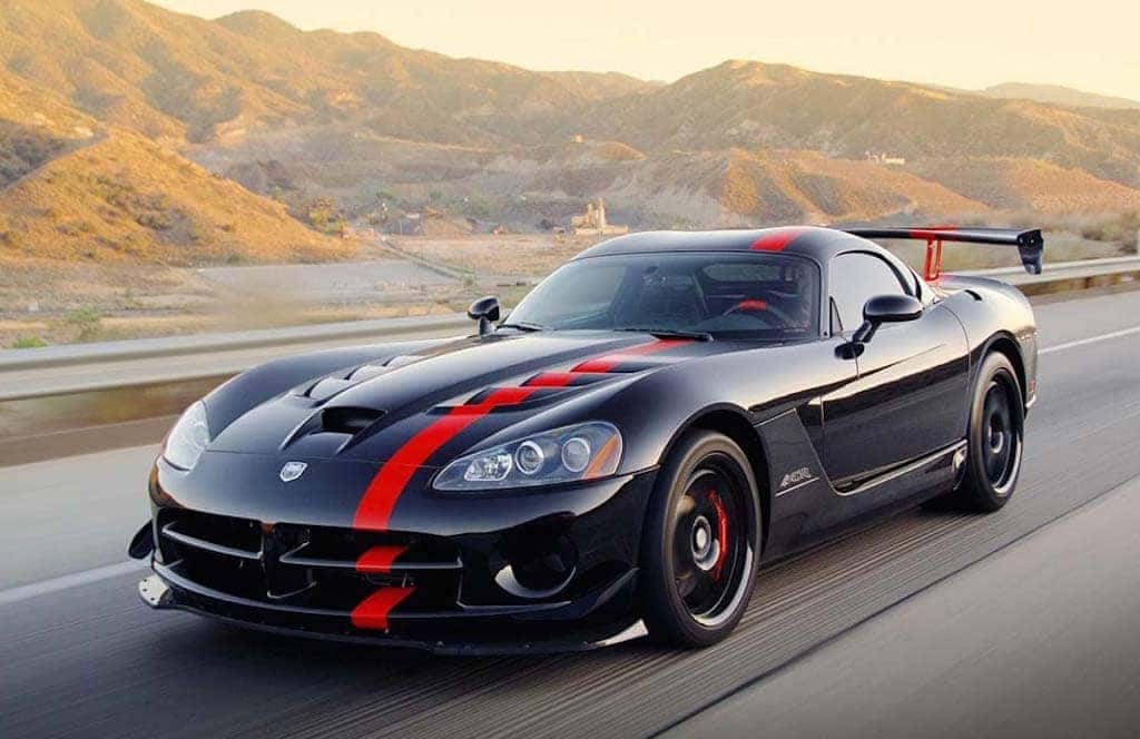 viper-1
