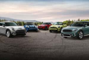 2023-mini-lined-up-with-scenic-forest-view-behind-them
