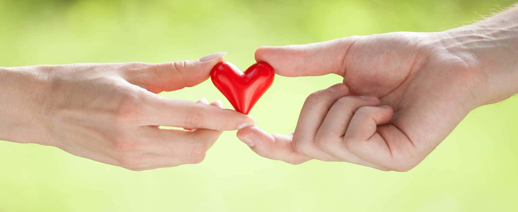 Hands holding heart