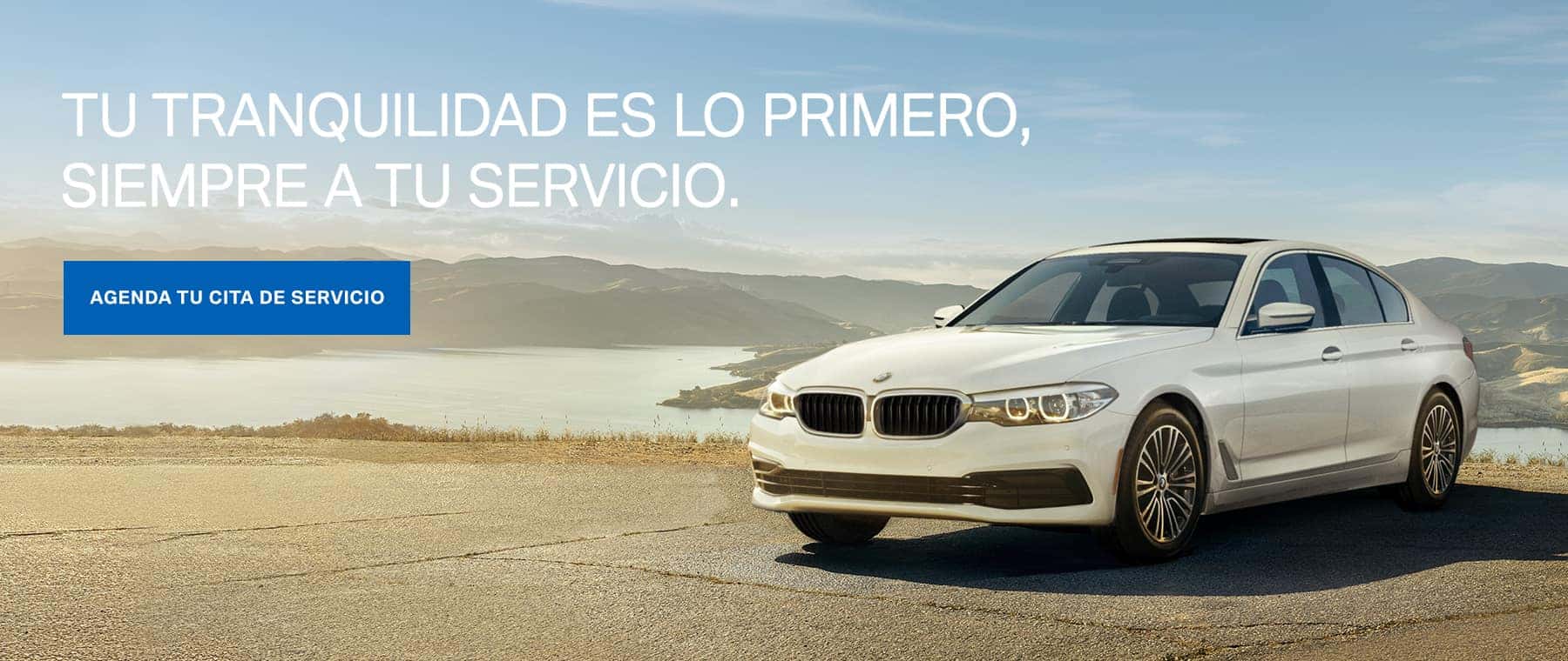 Spanish Service Banner