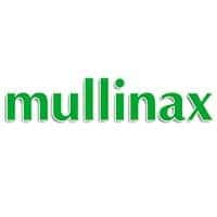 Mullinax Ford of Central Florida