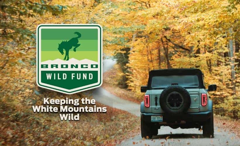 The Ford Bronco Wild Life Fund