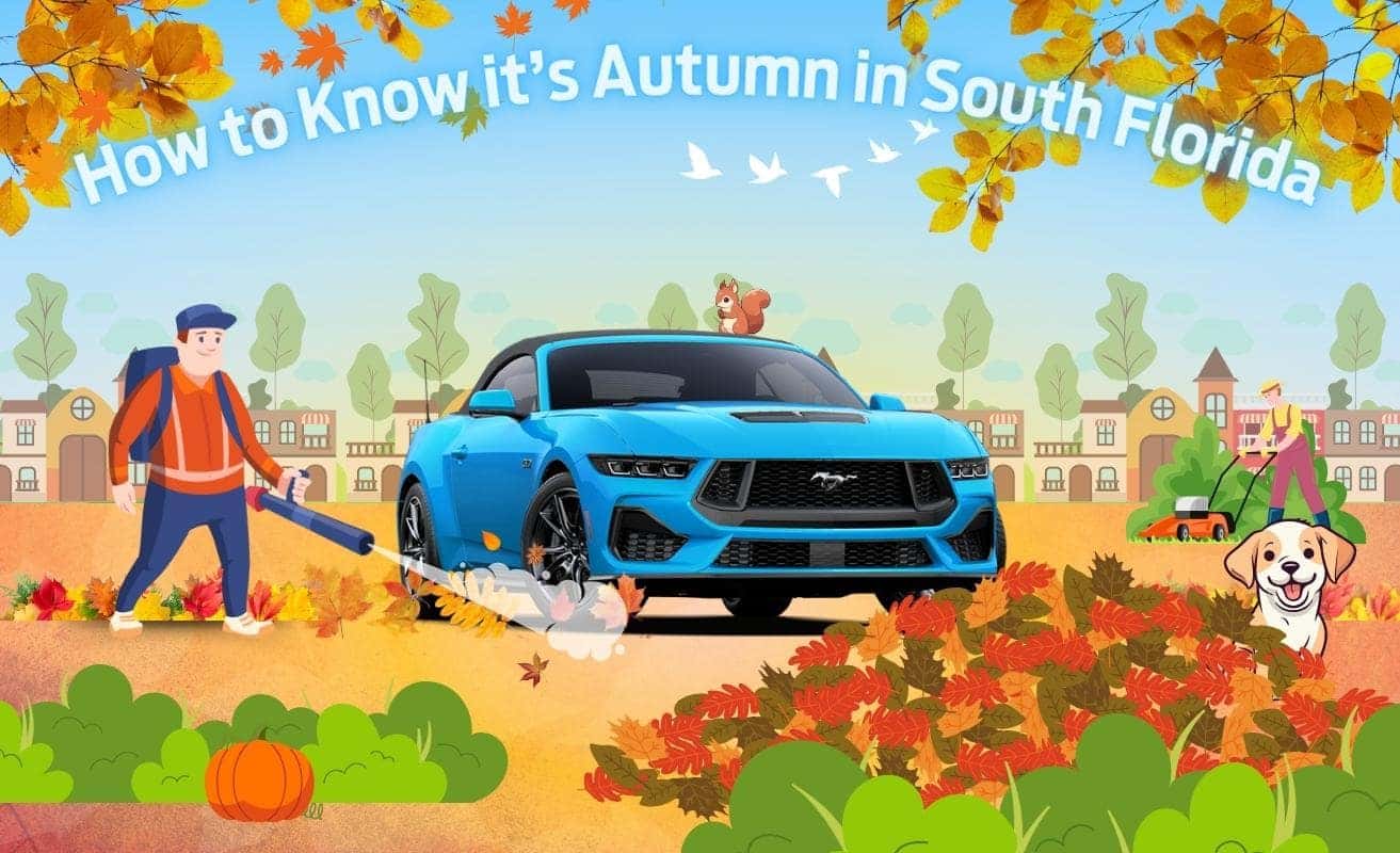 How To Know It's Autumn