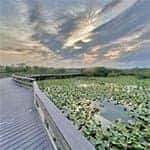 Everglades National Park – Homestead, FL