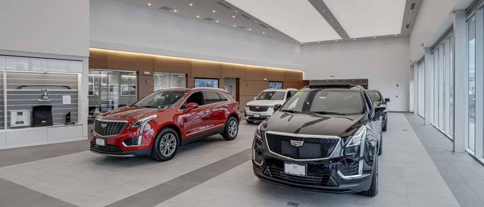 Napleton Cadillac of Liberty interior of showroom