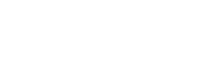 Napleton Honda Logo