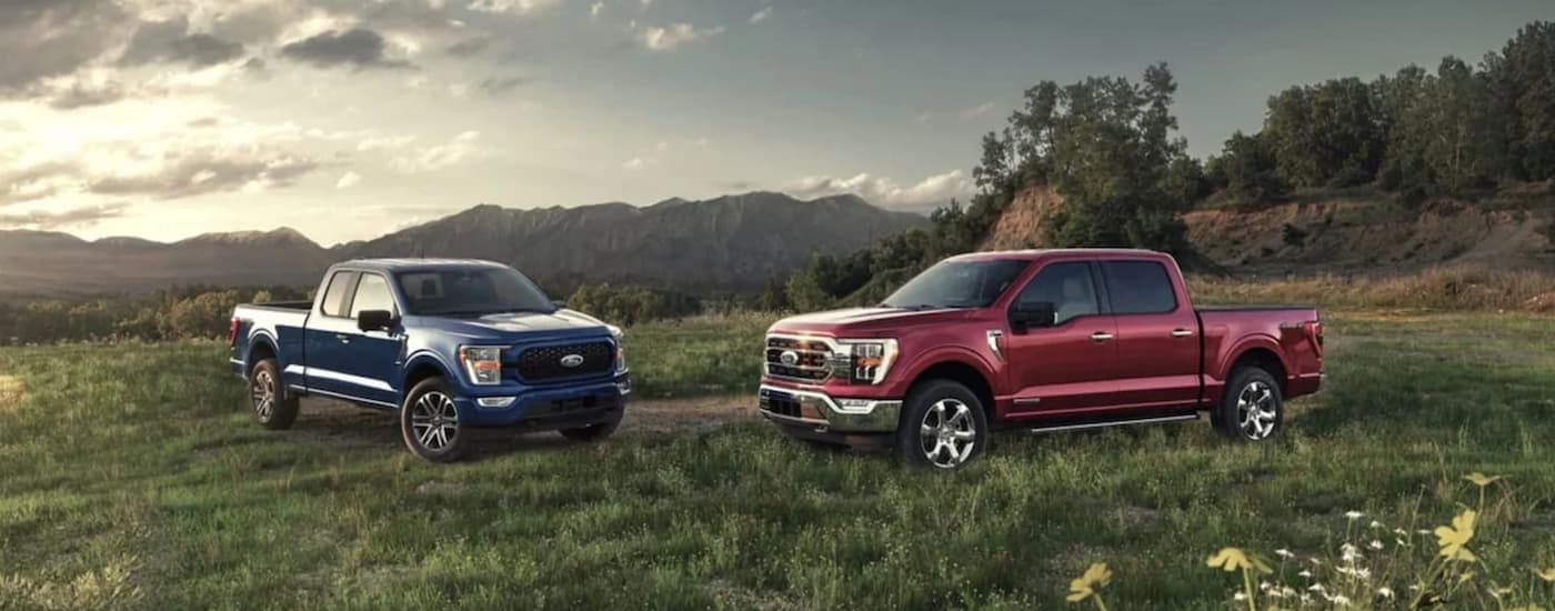 A blue and a red 2021 Ford F-150 are parked on grass in front of a mountain range after leaving a Tennessee Ford dealer.
