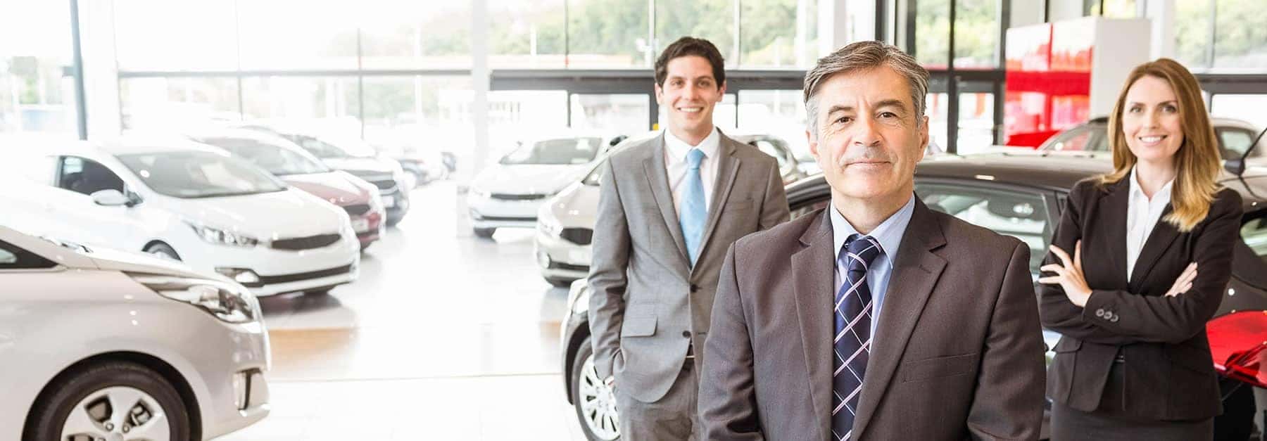 Meet our Team