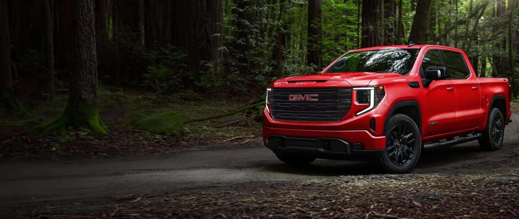 Red GMC Truck in Forest