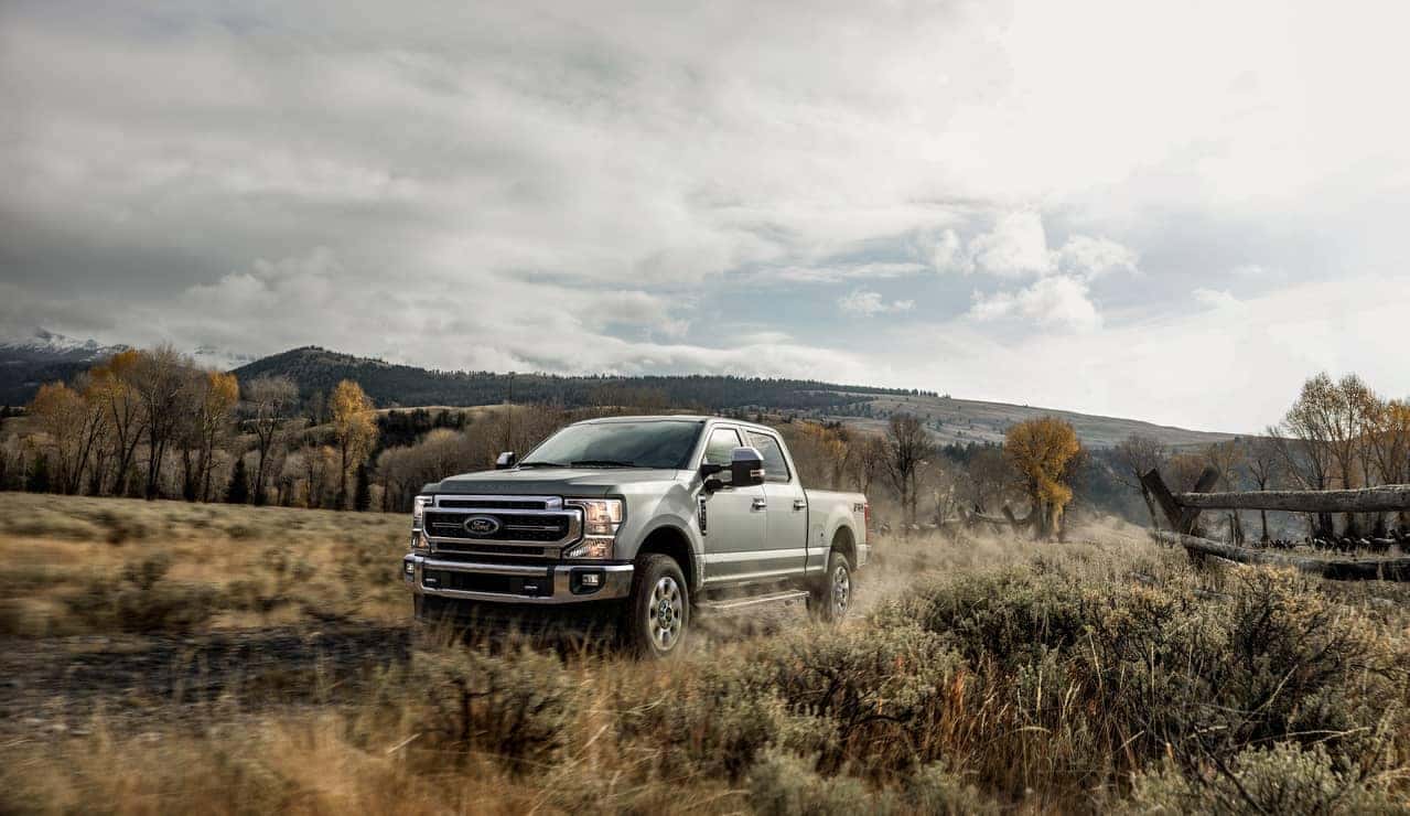 Ford Truck in Meadow