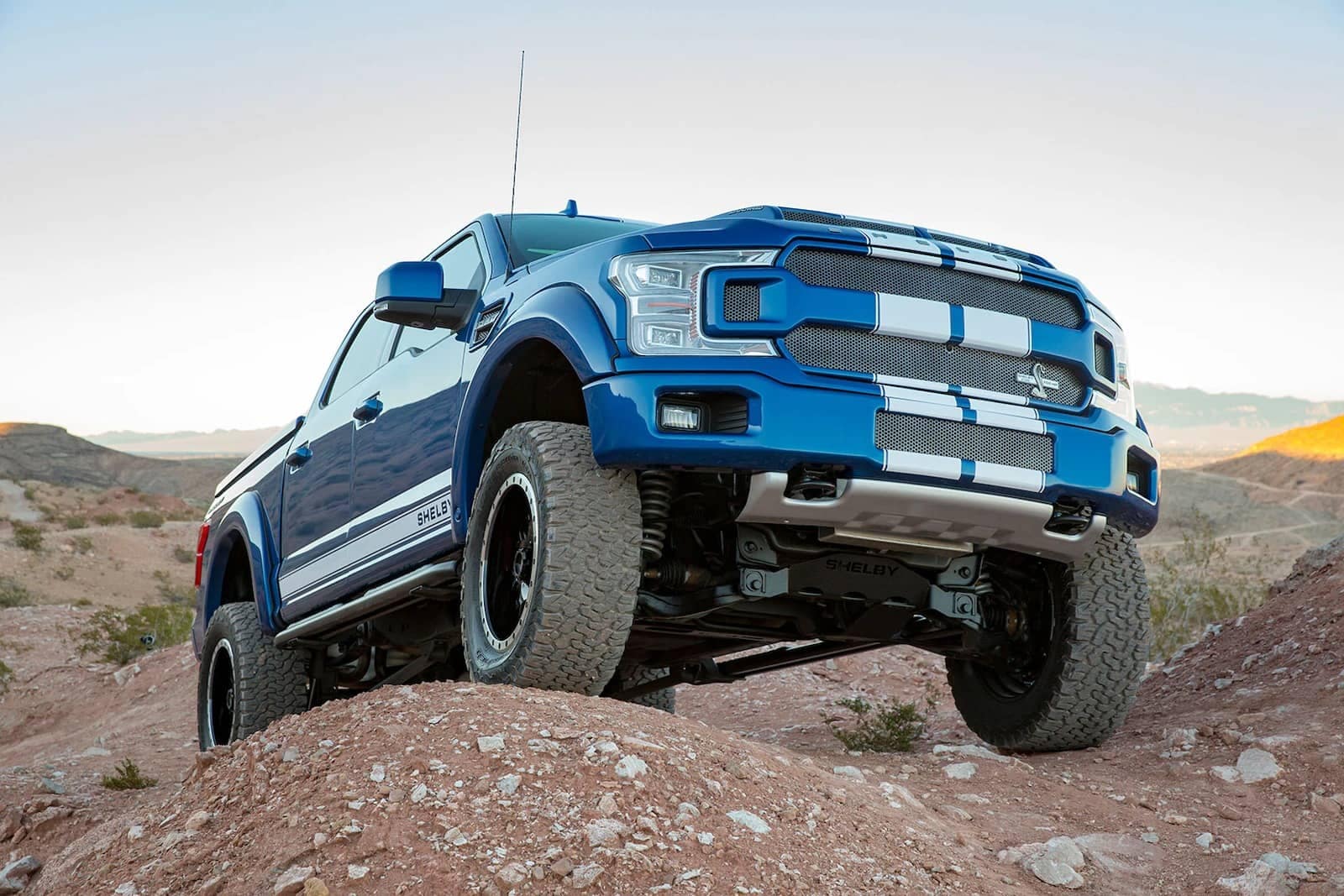 Shelby f-150