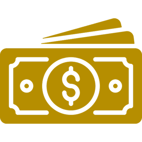 dollar icon