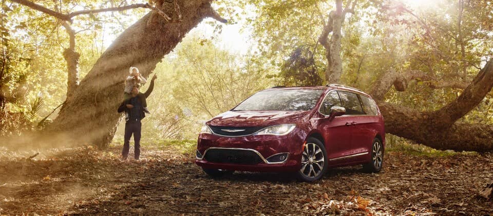 2019 Chrysler Pacifica in forest