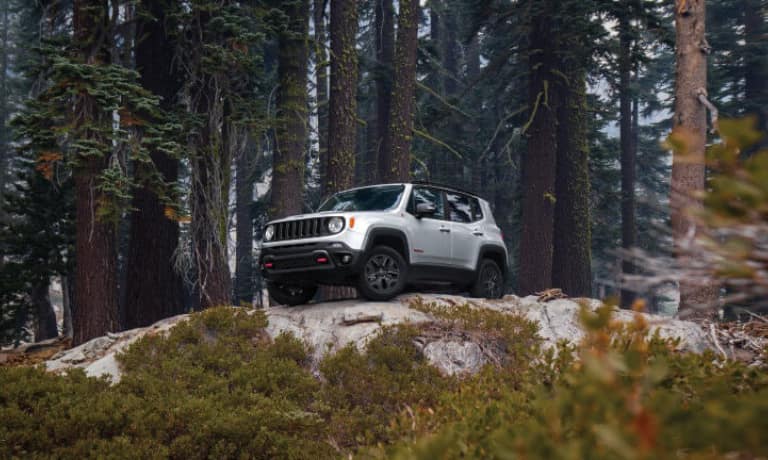 2019 Jeep Renegade Exterior in the Woods style