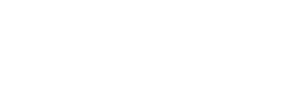 Parks Chevrolet Charlotte Logo White