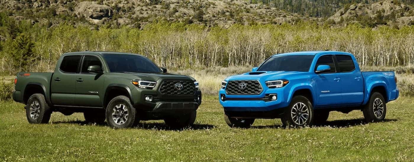 A green and a blue 2021 Toyota Tacoma are shown facing each other while parked in an open grassy field