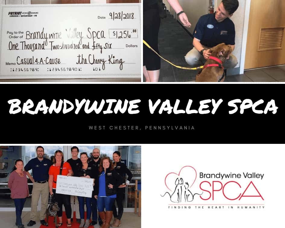 brandywineValley