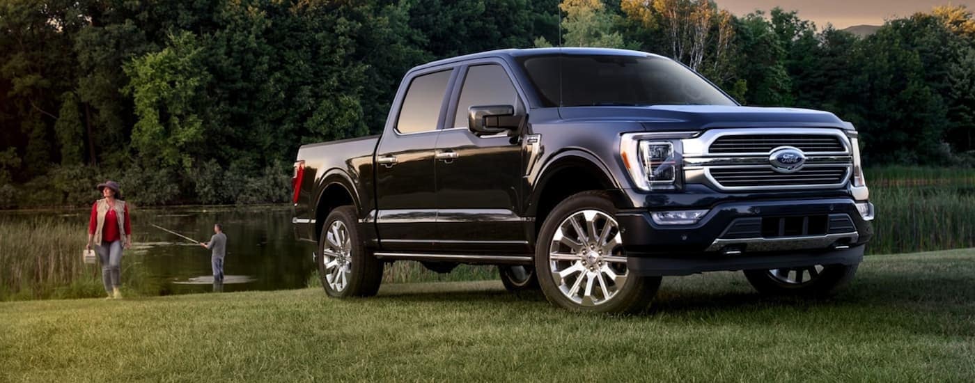 A black 2021 Ford F-150 is shown parked on grass near a small pond.