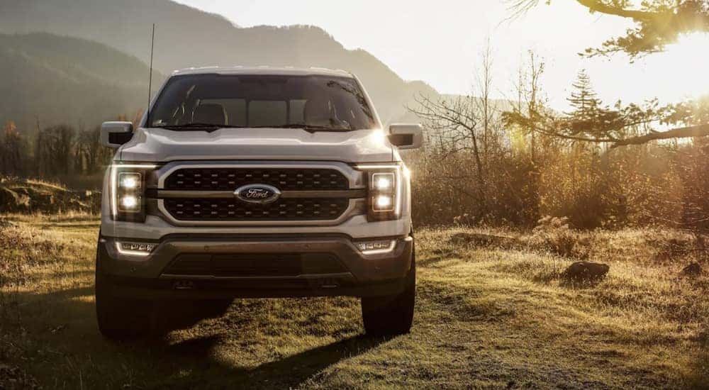 A silver 2022 Ford F-150 Limited is shown from the front parked on a grass field.