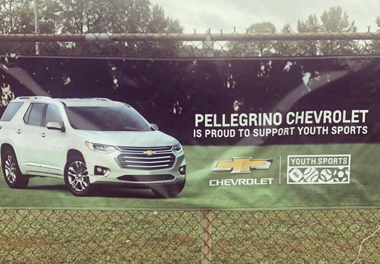pellegrino banner