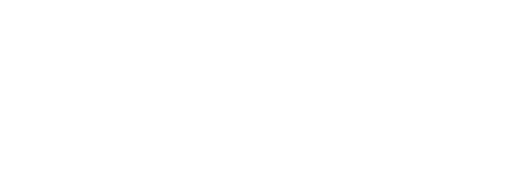Penske Automotive Collision logo