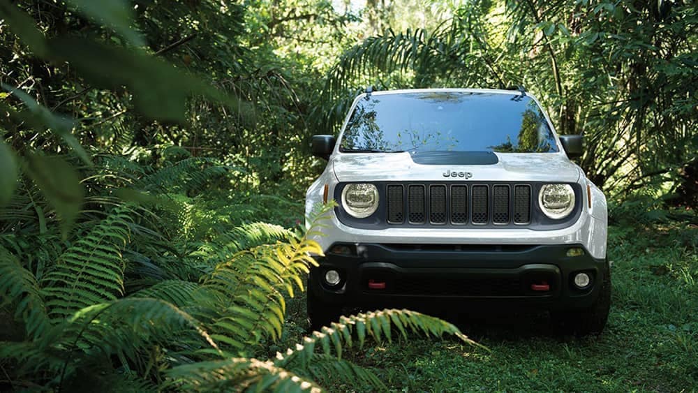 2019 Jeep Renegade In the Jungle