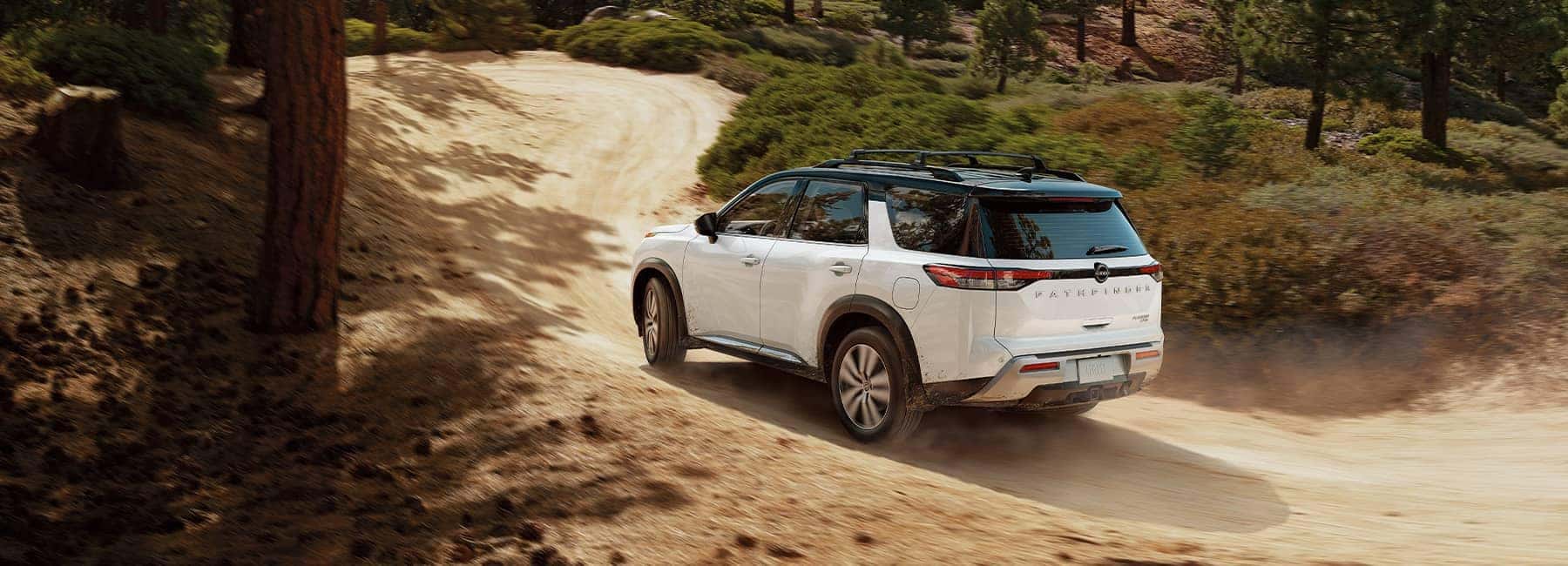 Pearl White Nissan Pathfinder on a forest path