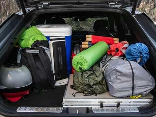 Comfort and Cargo