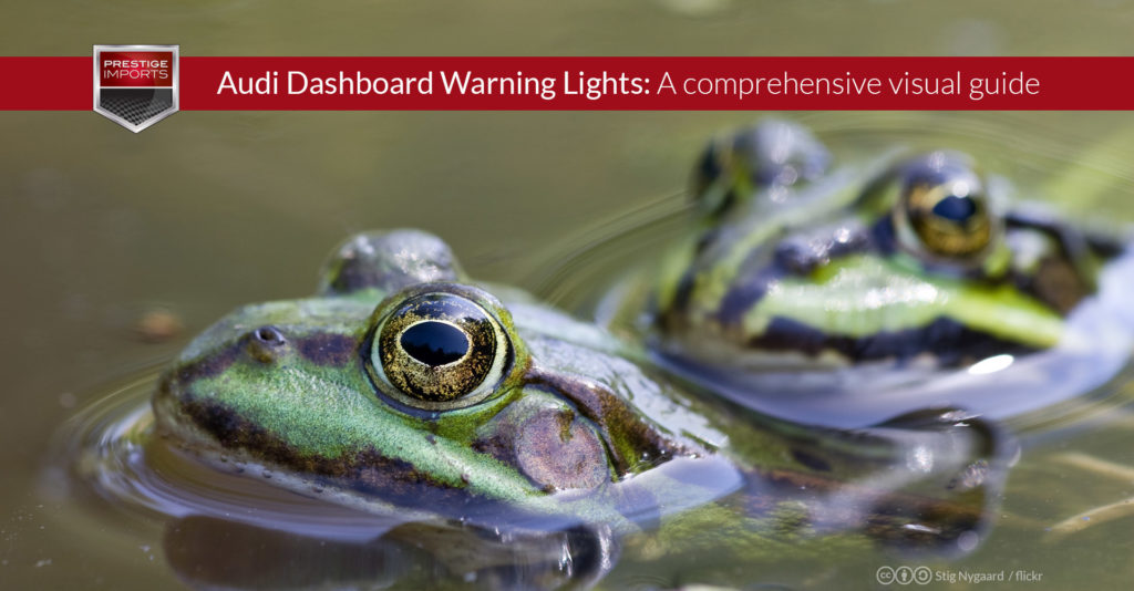 Audi Dashboard Warning Lights - A comprehensive visual guide