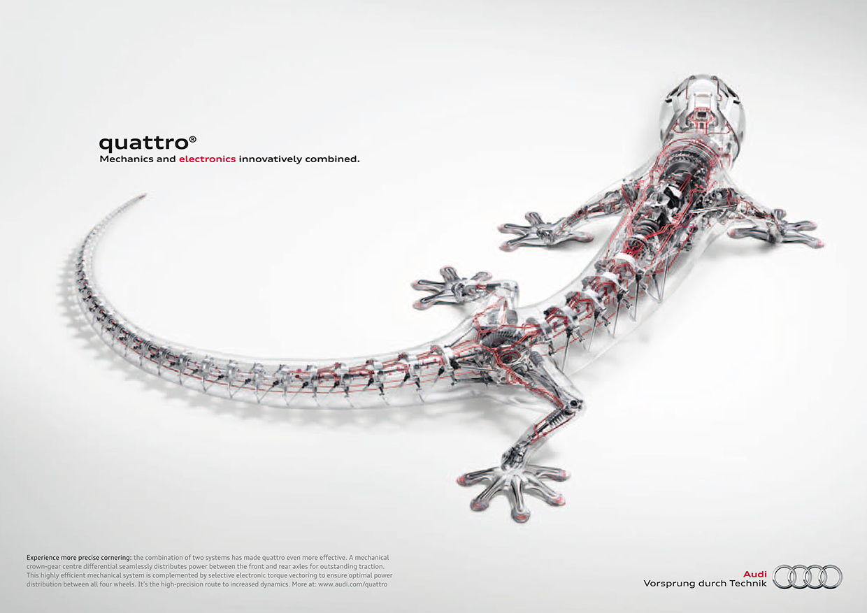 Design gecko  Audi Store Australia