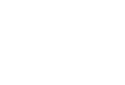 dollarSign icon