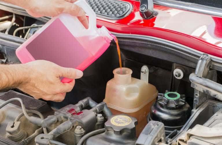 person adding pink coolant to an engine