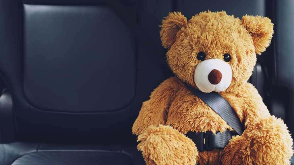 Importance of Seat Belts