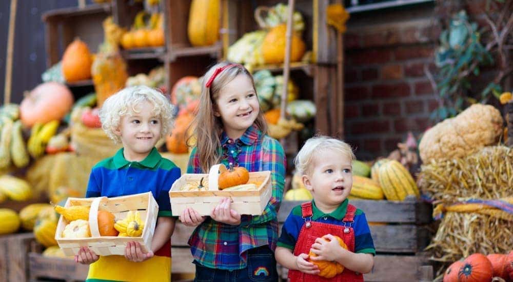 Three little kids are holding pumpkins while enjoying fall festivals near a Chevy Dealer, in Bethlehem, PA.