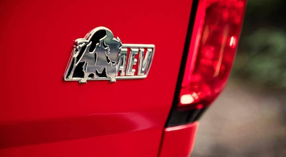 An AEV Colorado Bison logo is on a red 2020 Colorado Bison. 