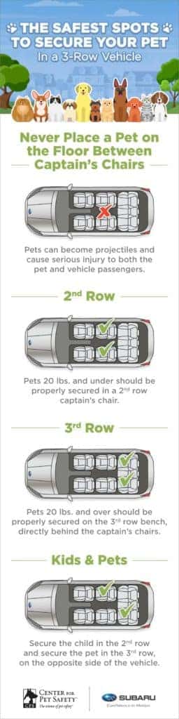 Safest Spots to Secure Your Pet