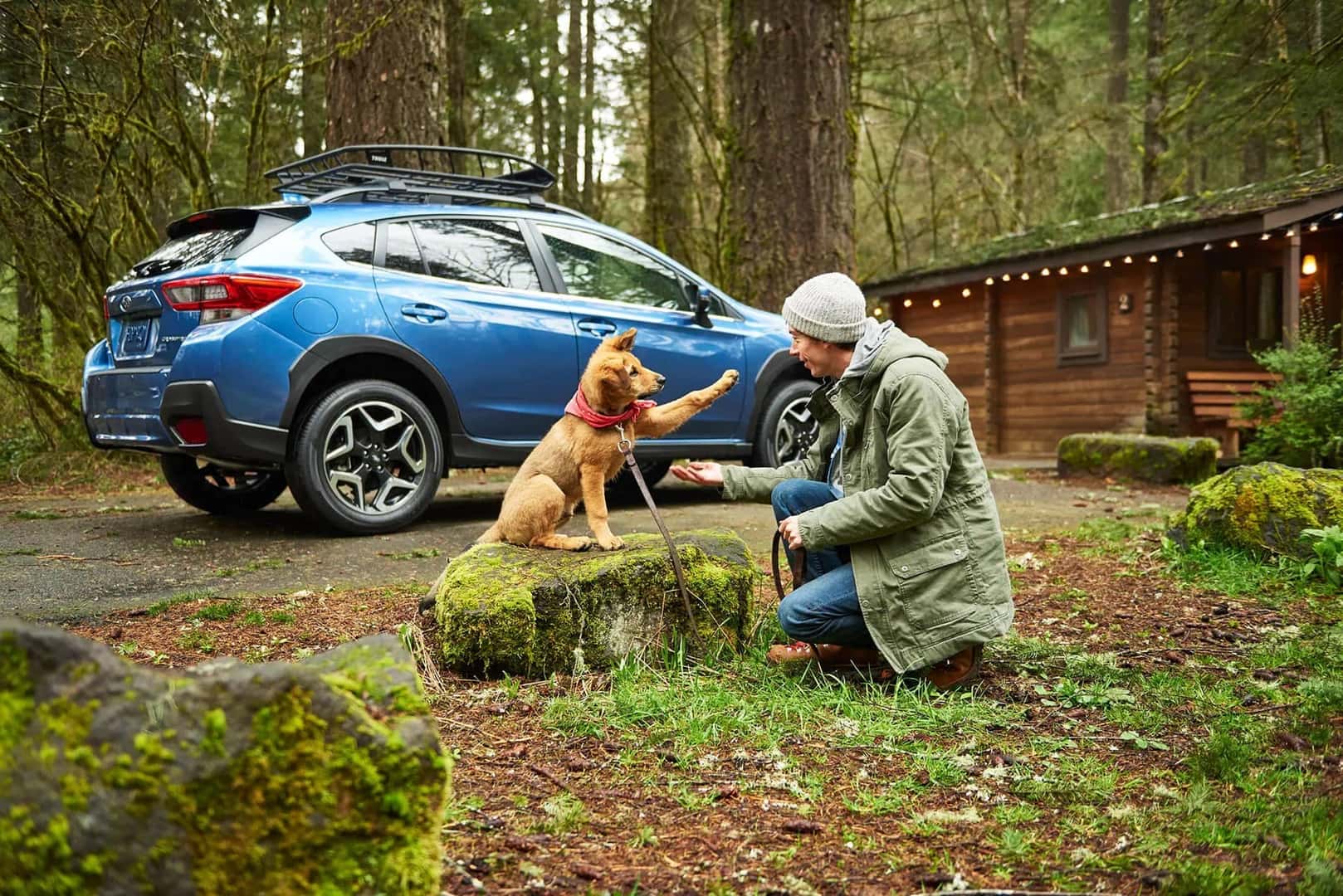 Blue Subaru vehicle with a dog and man